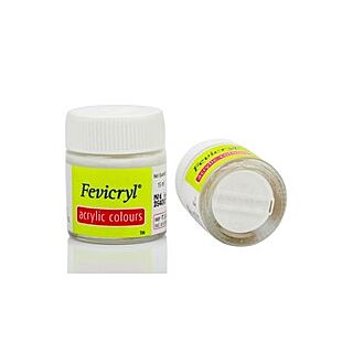Pidilite Fevicryl | Acrylic Colours Powder | Silver | 5g |