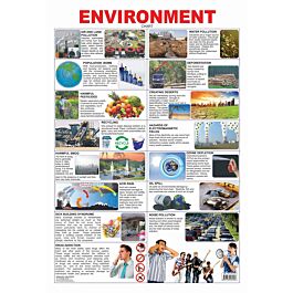 Raajkart.com - Educational Charts Series Environment (Dreamland) Buy ...